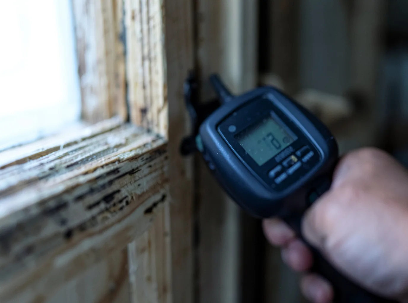 Moisture Inspection And Documentation in Triumph, IL